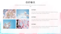 第11张幻灯片