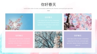 第7张幻灯片