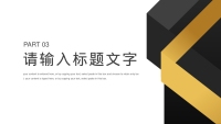 第12张幻灯片