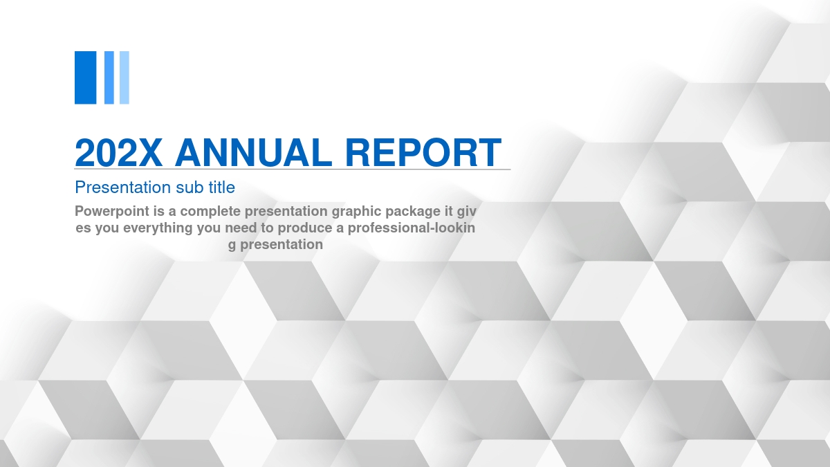 202X ANNUAL REPORT