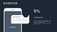 第20张幻灯片