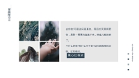 第17张幻灯片