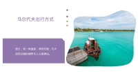 第17张幻灯片