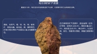 第10张幻灯片