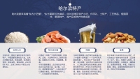 第20张幻灯片