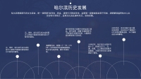 第6张幻灯片