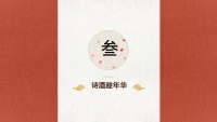 第16张幻灯片