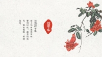 第28张幻灯片