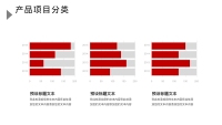 第12张幻灯片