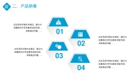 第14张幻灯片