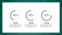 第12张幻灯片