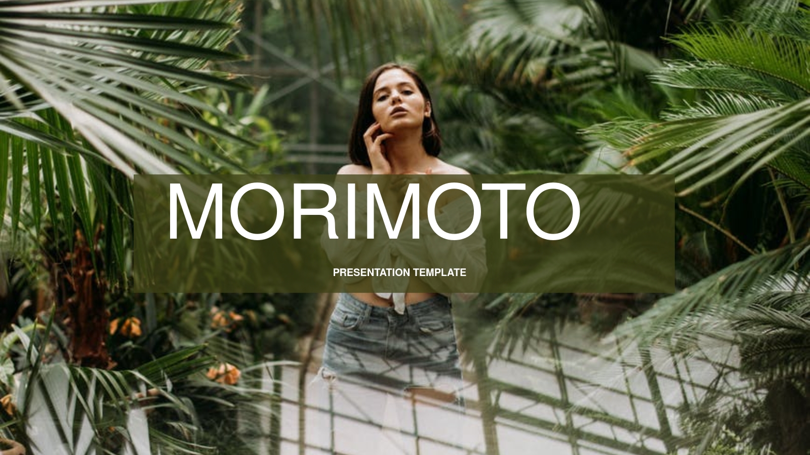 MORIMOTO