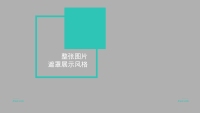 第15张幻灯片