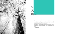 第6张幻灯片