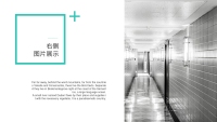 第8张幻灯片