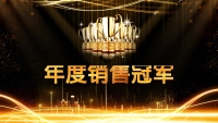 第15张幻灯片