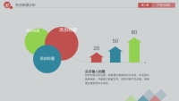 第29张幻灯片