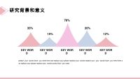 第14张幻灯片