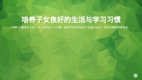第12张幻灯片