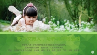 第13张幻灯片