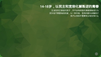 第20张幻灯片