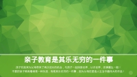 第29张幻灯片