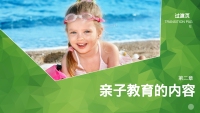 第9张幻灯片