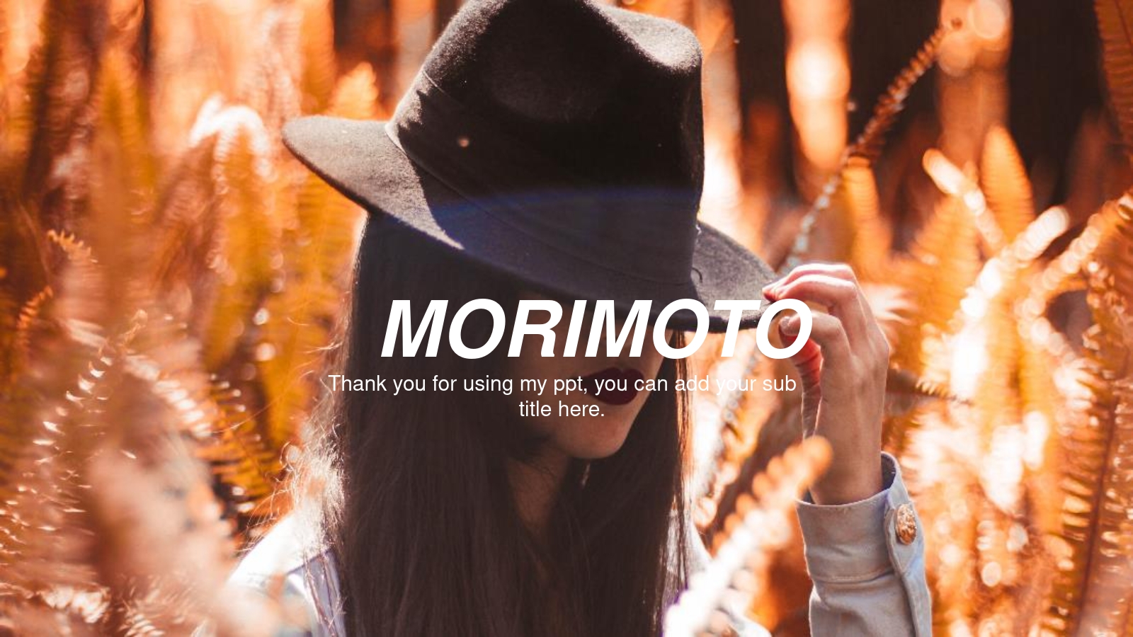 MORIMOTO