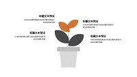 第17张幻灯片