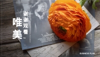 第24张幻灯片