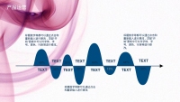 第15张幻灯片