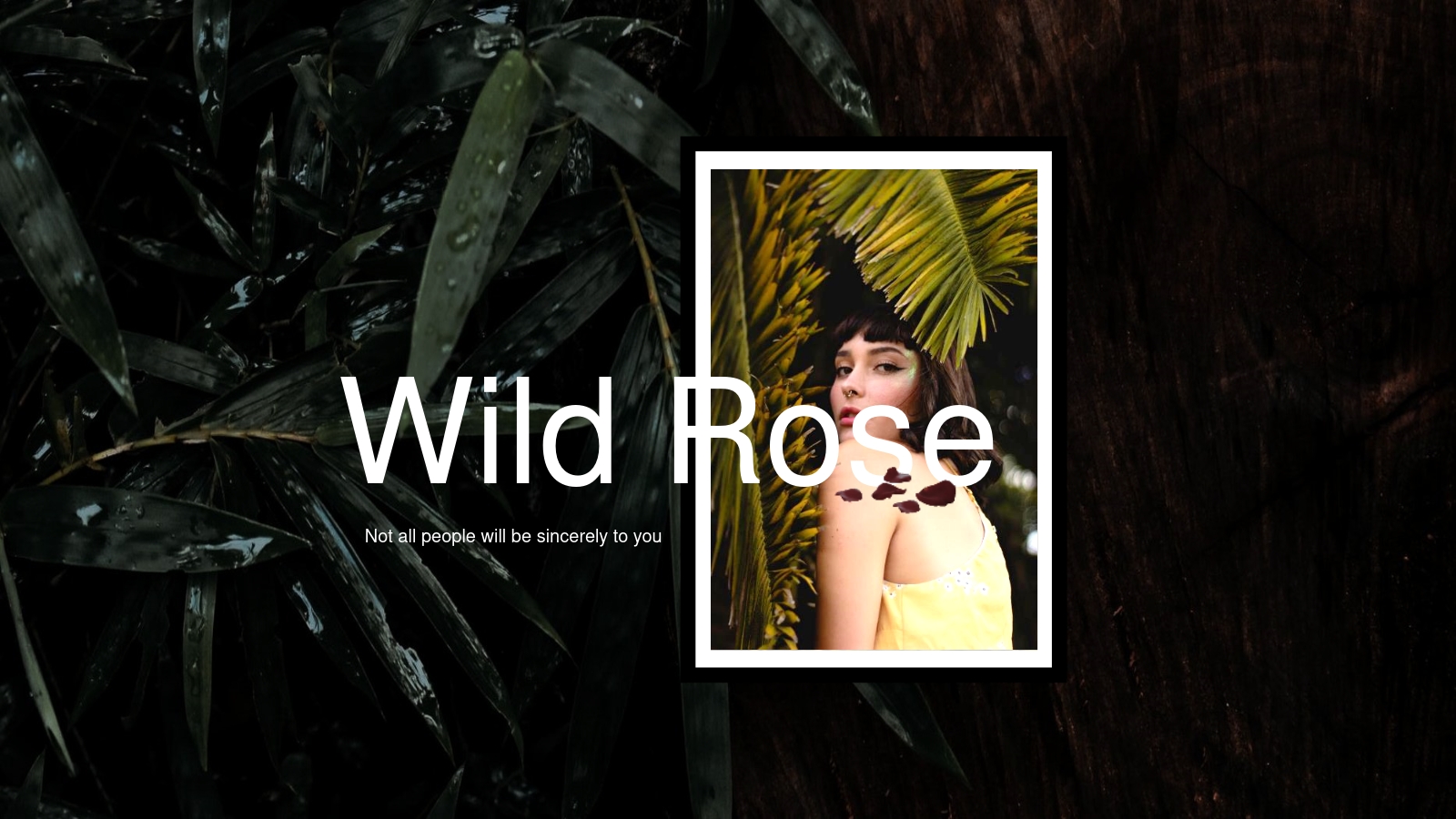 Wild Rose