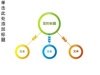 第66张幻灯片