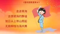 第11张幻灯片
