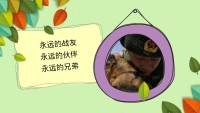 第21张幻灯片