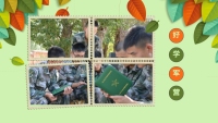 第9张幻灯片