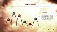 第12张幻灯片