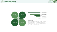 第29张幻灯片