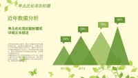 第17张幻灯片