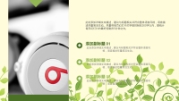 第21张幻灯片