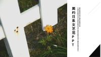 第1张幻灯片