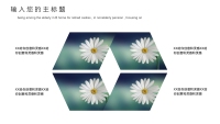 第13张幻灯片