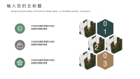 第17张幻灯片