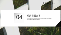 第20张幻灯片