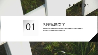 第3张幻灯片