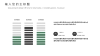 第4张幻灯片