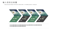 第5张幻灯片