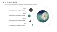 第6张幻灯片