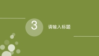 第12张幻灯片