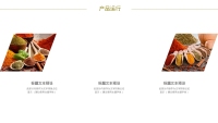 第11张幻灯片